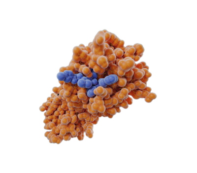 DigeZyme® Multi-Enzyme